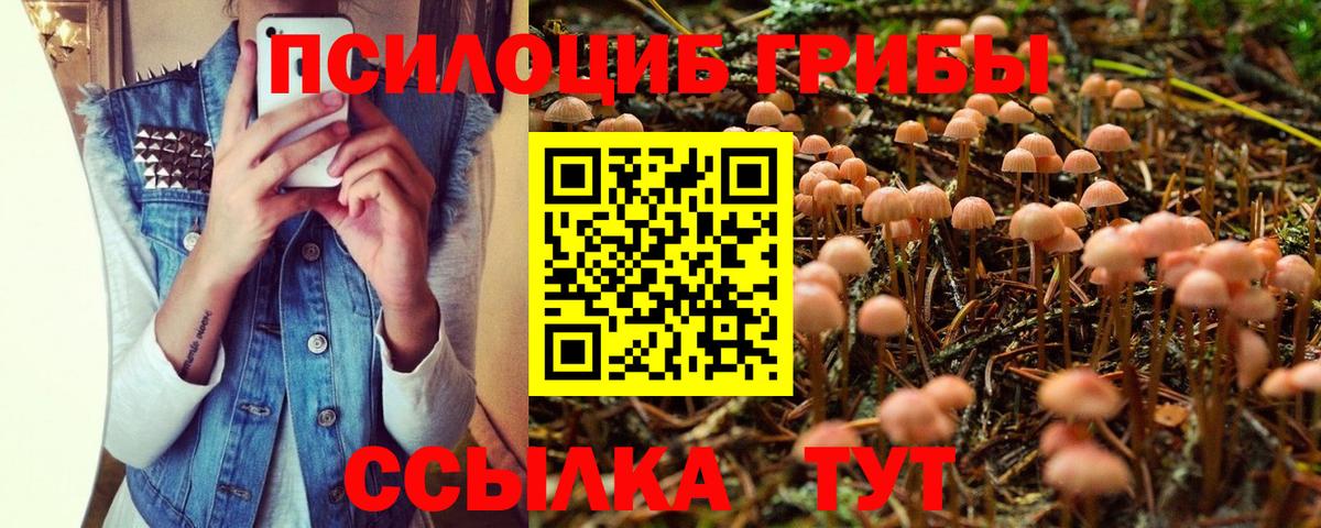 Псилоцибиновые грибы ЛСД Джанкой
