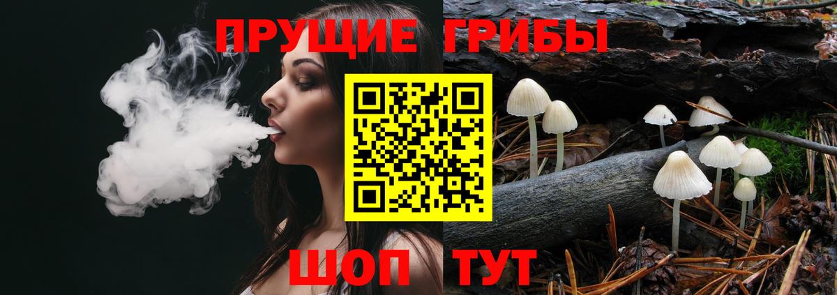 купить наркотики сайты  Галлюциногенные грибы прущие грибы  Вход с VPN  Джанкой 